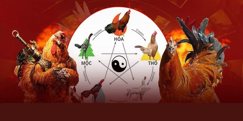 Màu Mạng Đá Gà